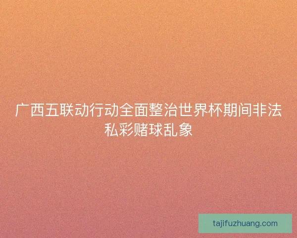 广西五联动行动全面整治世界杯期间非法私彩赌球乱象